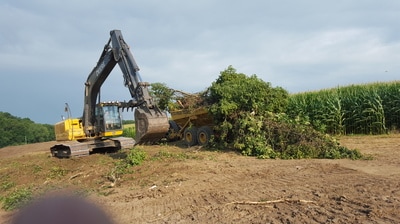 Grubbing out trees and shrubs on farm properties can require large equipment for complete removal of trees and root systems.