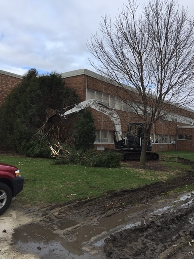 Removing mature trees with our mini excavator at a local school.